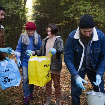 diverse-group-of-volunteers-cleaning-up-forest-from-waste-community-service-concept.jpg